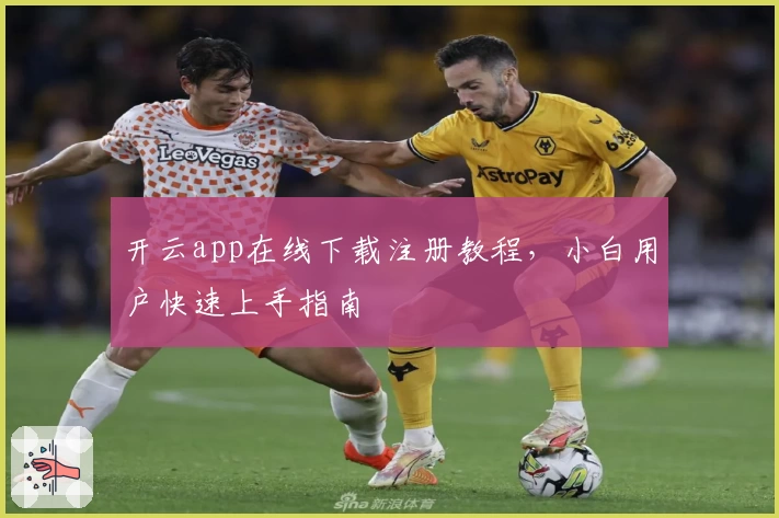 开云app在线下载注册教程，小白用户快速上手指南