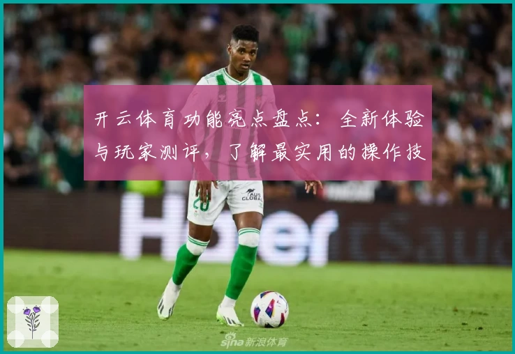 开云体育功能亮点盘点：全新体验与玩家测评，了解最实用的操作技巧